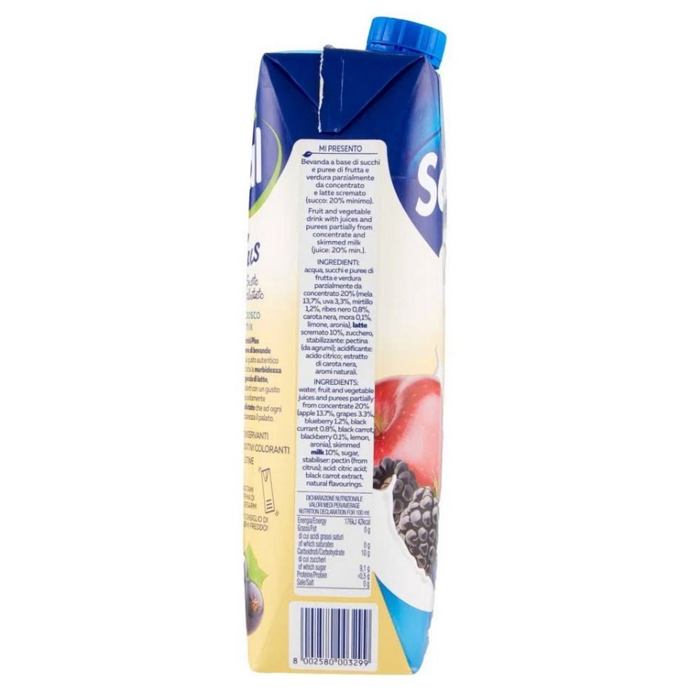Santal Plus Prisma Bosco 1L X12 pz