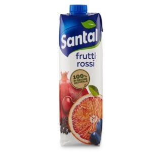 Santal Succo 10 Vitamine e Frutti Rossi 1L X12 pz