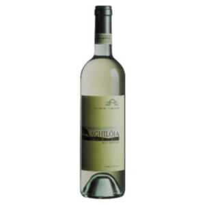 Vino Vermentino di Gallura Aghiloja DOCG 75 cl X 6 pz